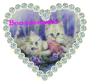 Gif animé Bon mercredi chats
